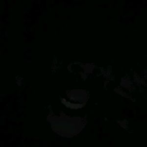 Meet your Posher, Ronwel